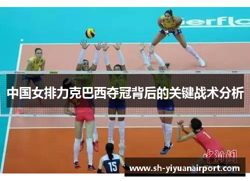 中国女排力克巴西夺冠背后的关键战术分析 中国女排力克巴西夺冠背后的关键战术分析